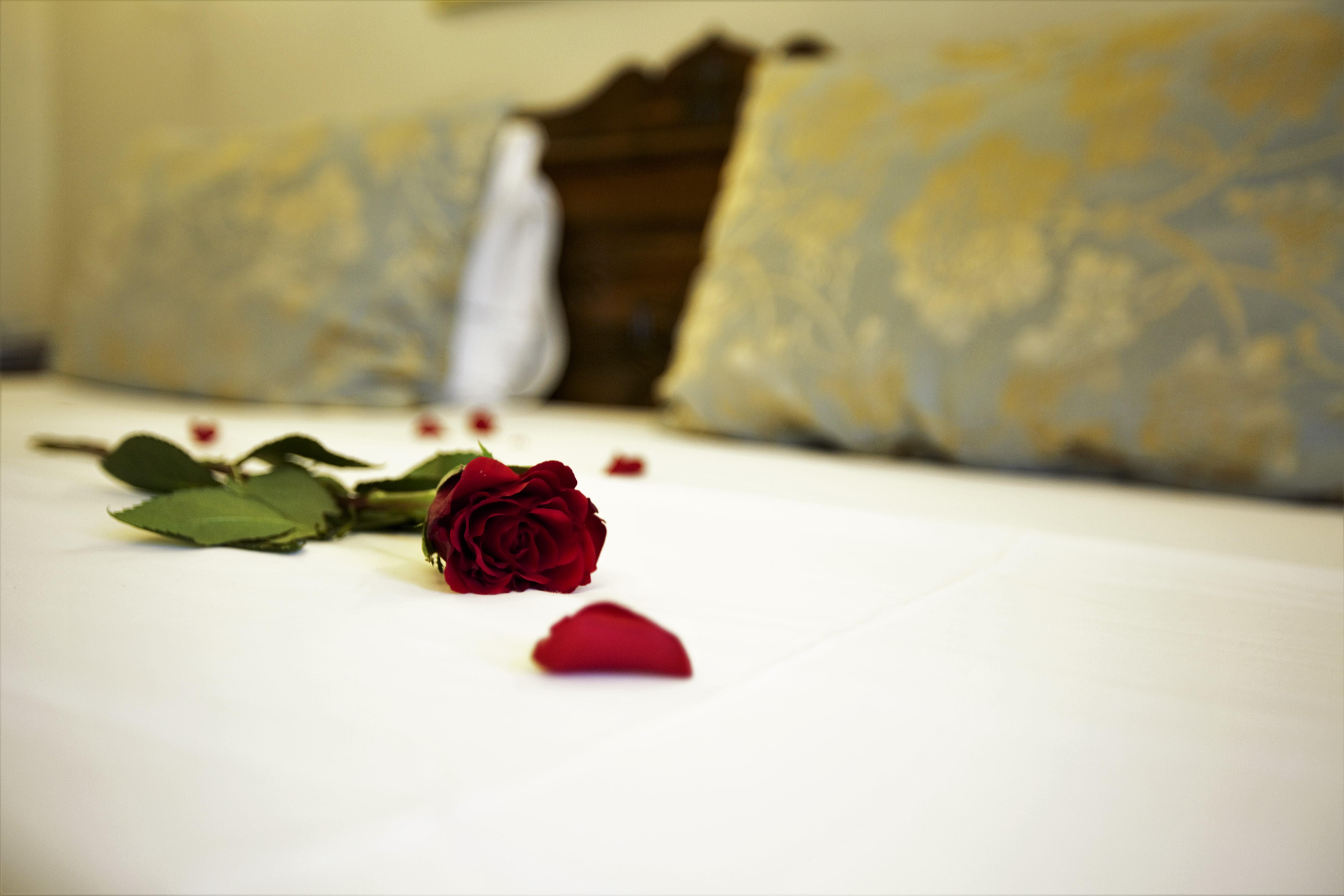 Oba Hotel Stambuł Zewnętrze zdjęcie